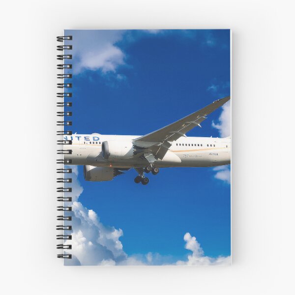 Item preview, United Boeing 787-8 Dreamliner designed and sold by Skyframe Aviation.