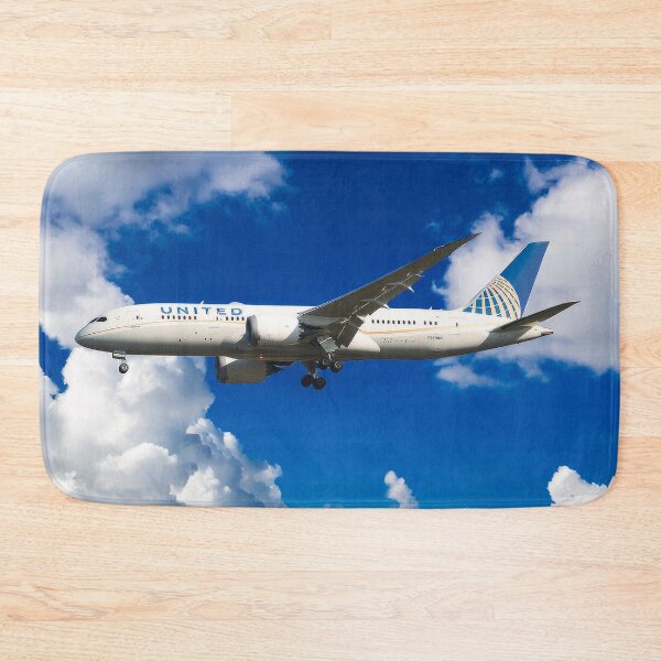 Item preview, United Boeing 787-8 Dreamliner designed and sold by Skyframe Aviation.