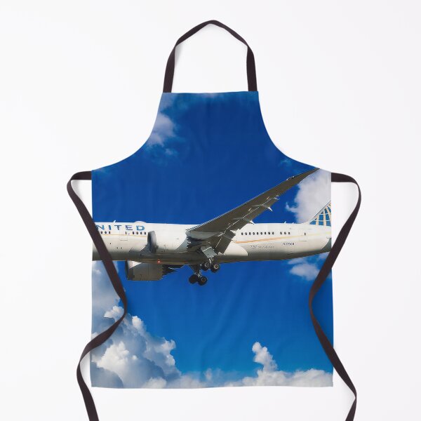 Item preview, United Boeing 787-8 Dreamliner designed and sold by Skyframe Aviation.