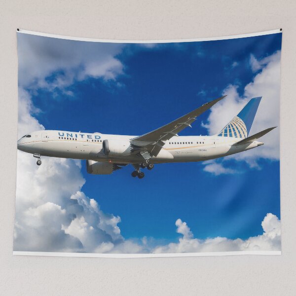 Item preview, United Boeing 787-8 Dreamliner designed and sold by Skyframe Aviation.