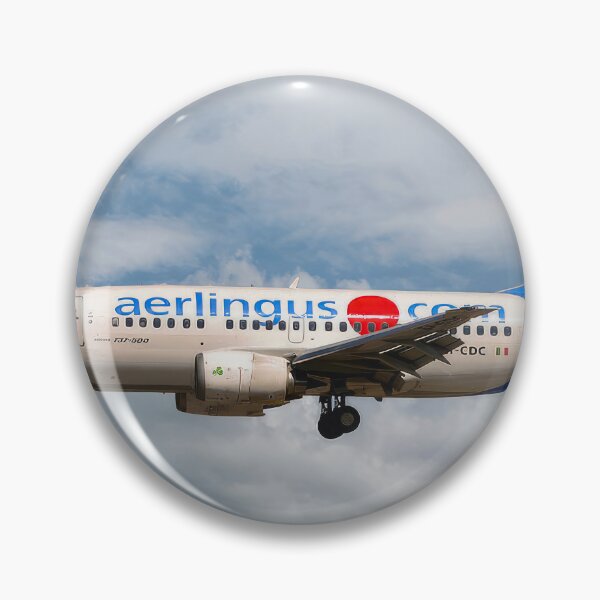 Item preview, Aer Lingus Boeing 737-500 designed and sold by Skyframe Aviation.
