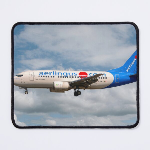 Item preview, Aer Lingus Boeing 737-500 designed and sold by Skyframe Aviation.