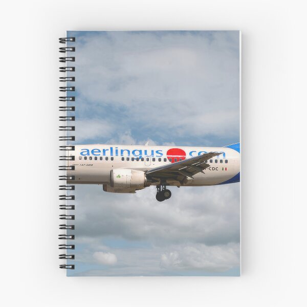Item preview, Aer Lingus Boeing 737-500 designed and sold by Skyframe Aviation.