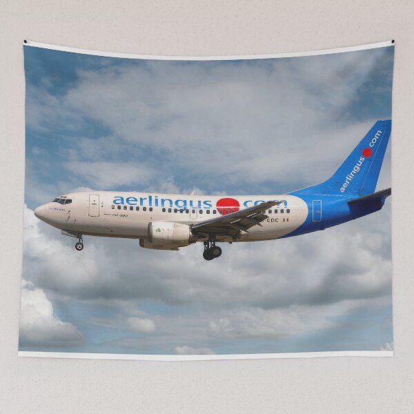 Item preview, Aer Lingus Boeing 737-500 designed and sold by Skyframe Aviation.