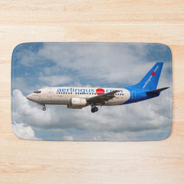 Item preview, Aer Lingus Boeing 737-500 designed and sold by Skyframe Aviation.