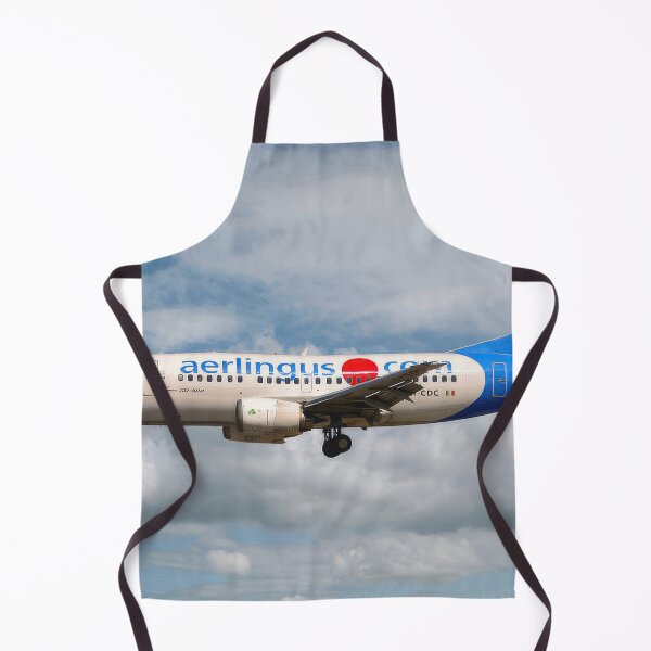 Item preview, Aer Lingus Boeing 737-500 designed and sold by Skyframe Aviation.