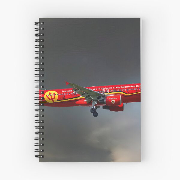 Item preview, Brussells Airlines Airbus A320-214 designed and sold by Skyframe Aviation.