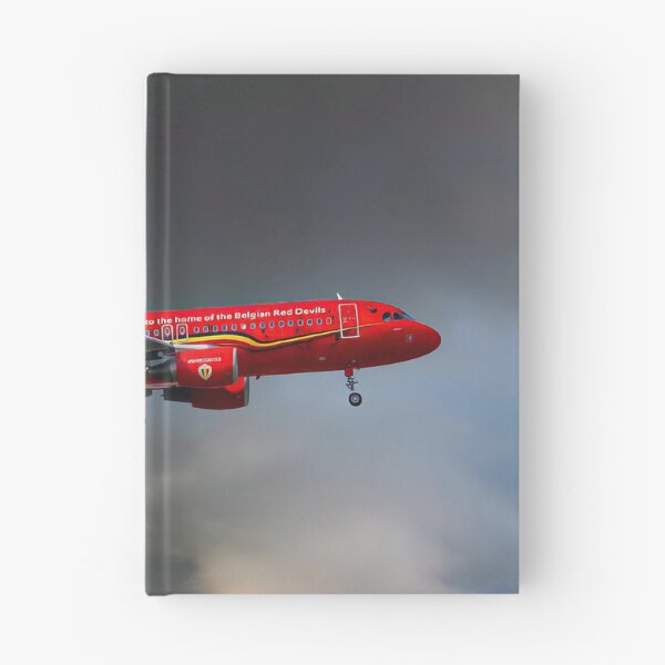 Item preview, Brussells Airlines Airbus A320-214 designed and sold by Skyframe Aviation.