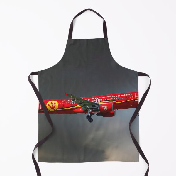 Item preview, Brussells Airlines Airbus A320-214 designed and sold by Skyframe Aviation.