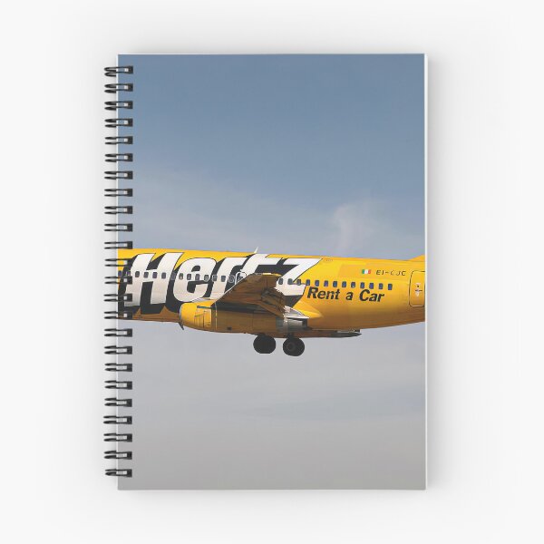 Item preview, Ryanair Boeing 737-200 designed and sold by Skyframe Aviation.