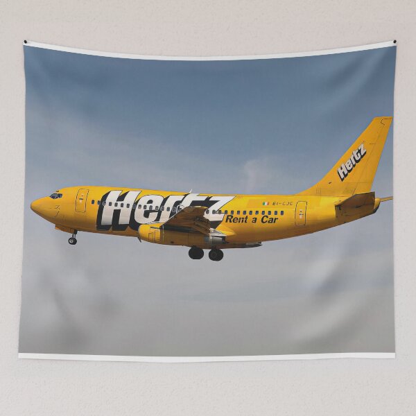 Item preview, Ryanair Boeing 737-200 designed and sold by Skyframe Aviation.