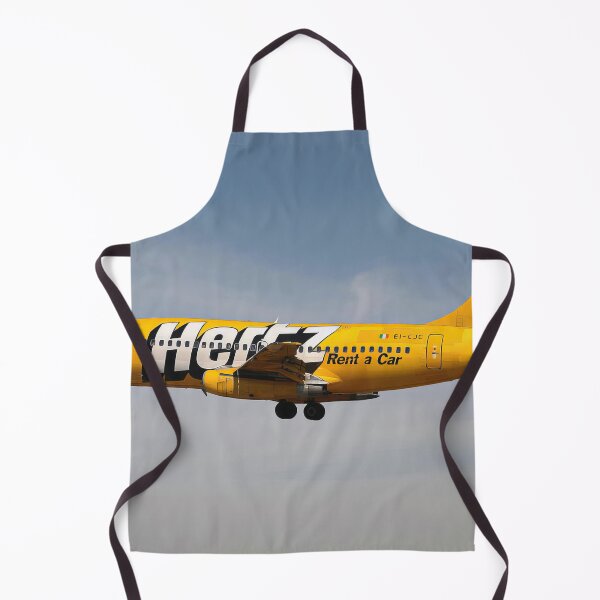 Item preview, Ryanair Boeing 737-200 designed and sold by Skyframe Aviation.