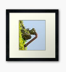 Gagged Gargoyle Framed Print