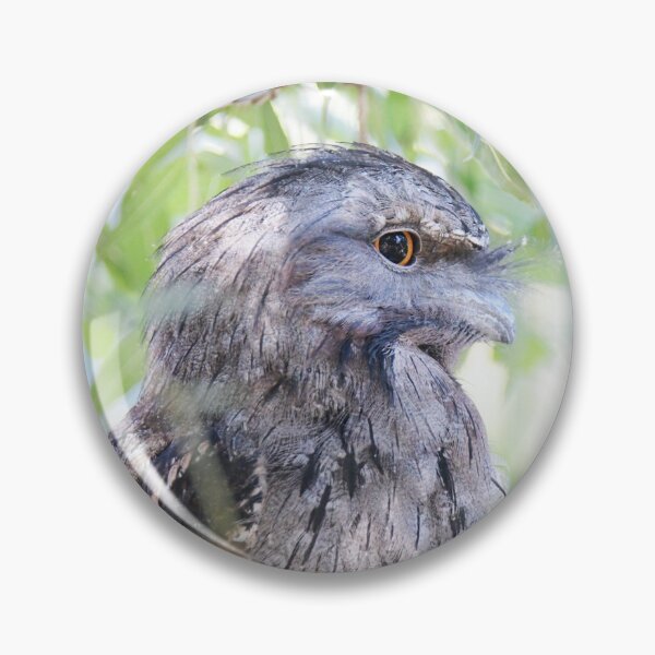 Item preview, Wide-eyed Tawny Frogmouth designed and sold by imaginethis.