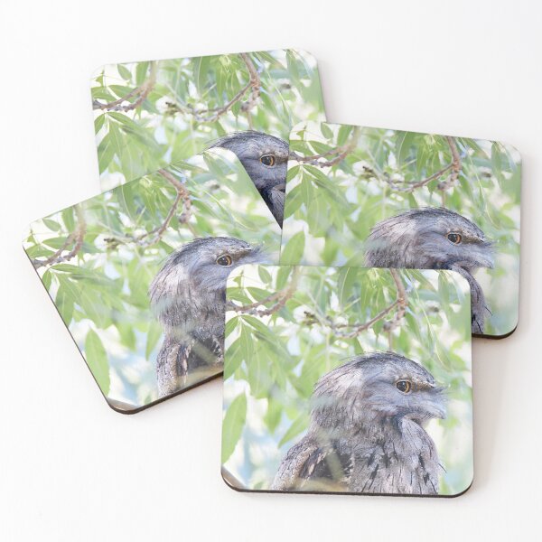 Item preview, Wide-eyed Tawny Frogmouth designed and sold by imaginethis.