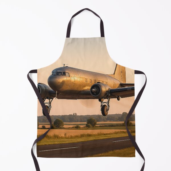 Item preview, Douglas DC-3 Pioneering Commercial Flight designed and sold by Skyframe Aviation.