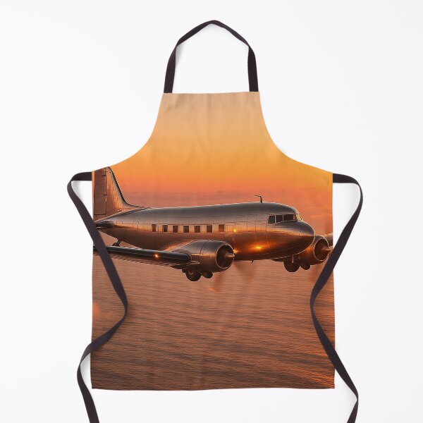 Item preview, Douglas DC-3 Elegance in Flight designed and sold by Skyframe Aviation.