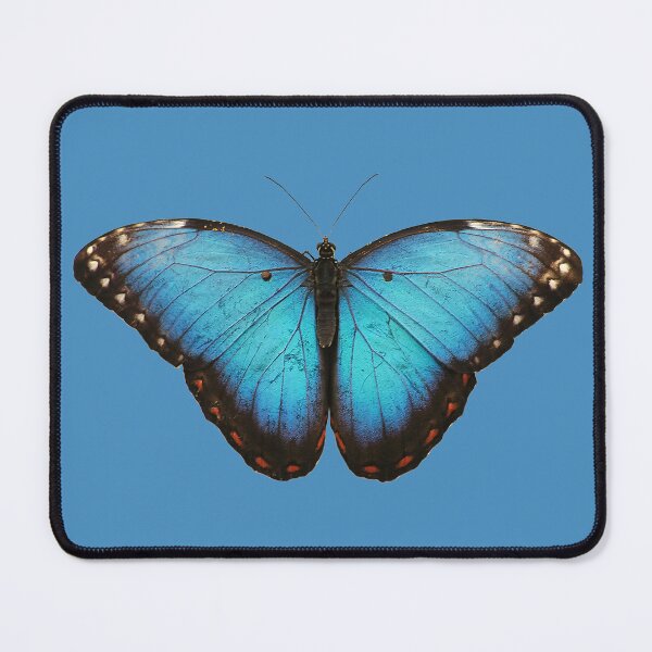 Item preview, Blue Butterfly designed and sold by Murph's Images.