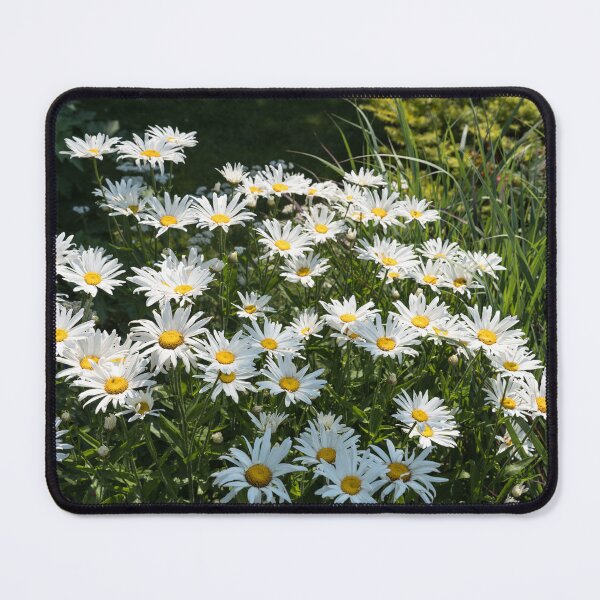 Item preview, Sunlit Summer Garden with Daisies designed and sold by Georgia Mizuleva.