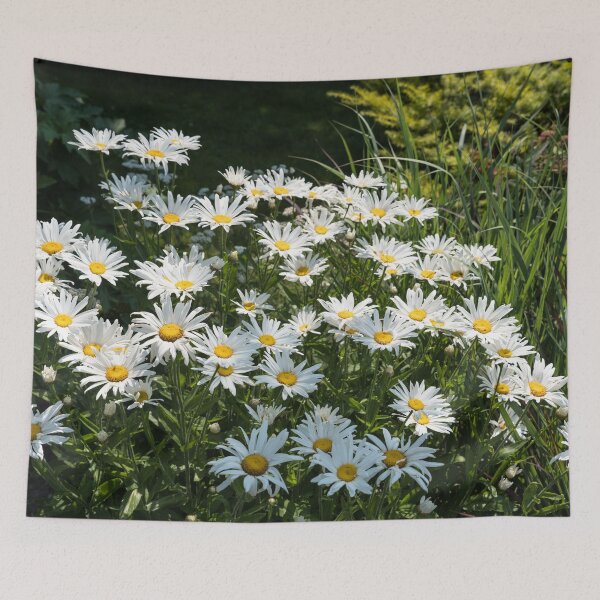 Item preview, Sunlit Summer Garden with Daisies designed and sold by Georgia Mizuleva.