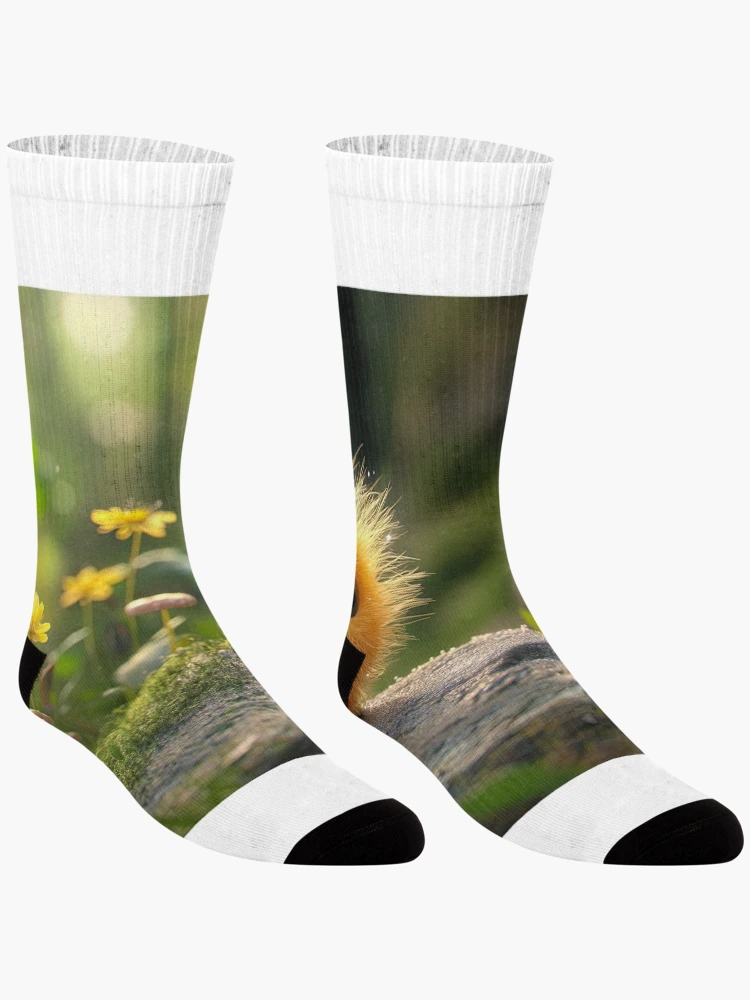 Thumbnail 3 of 5, Socks, MicroP designed and sold by RicoInStudios.