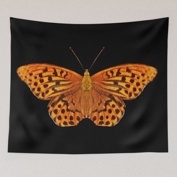 Item preview, Fritillary Butterfly designed and sold by Murph's Images.
