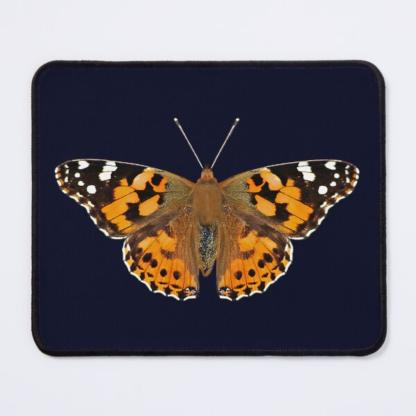 Item preview, Painted Lady Butterfly designed and sold by Murph's Images.