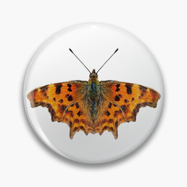Item preview, Comma Butterfly designed and sold by Murph's Images.