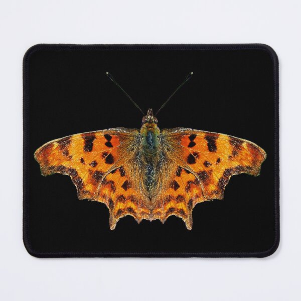 Item preview, Comma Butterfly designed and sold by Murph's Images.