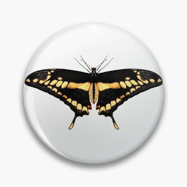 Item preview, Giant Swallowtail Butterfly designed and sold by Murph's Images.