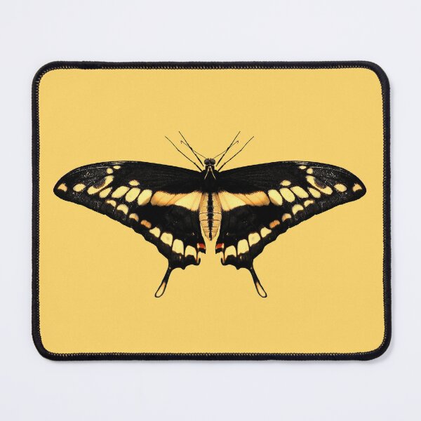 Item preview, Giant Swallowtail Butterfly designed and sold by Murph's Images.