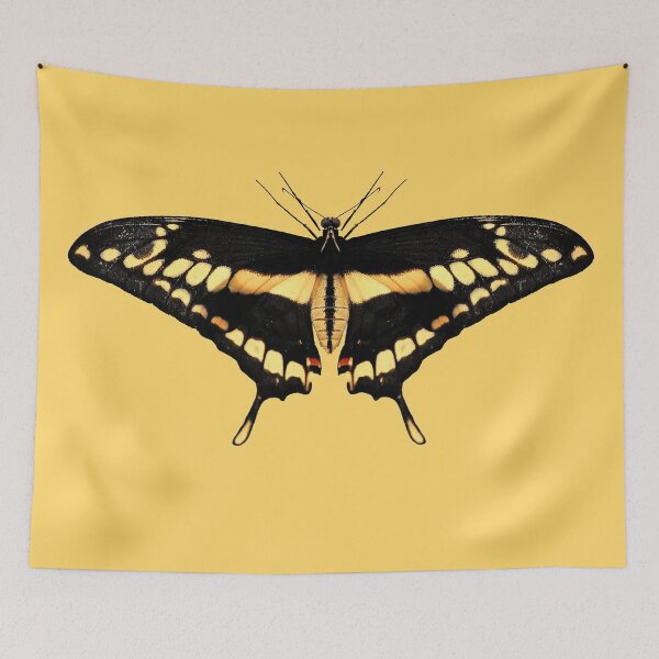 Item preview, Giant Swallowtail Butterfly designed and sold by Murph's Images.