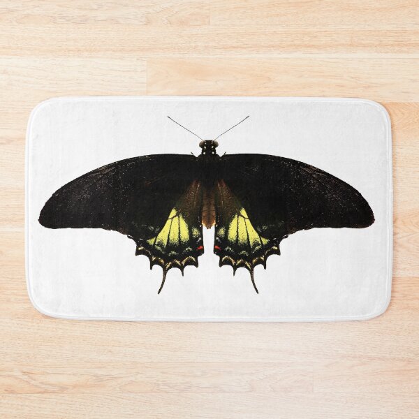Item preview, Black Butterfly designed and sold by Murph's Images.