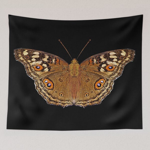 Item preview, Exotic Orange Butterfly designed and sold by Murph's Images.