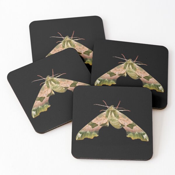 Item preview, Lime Hawk Moth designed and sold by Murph's Images.