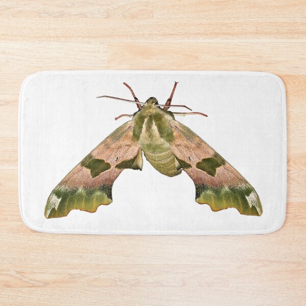 Item preview, Lime Hawk Moth designed and sold by Murph's Images.