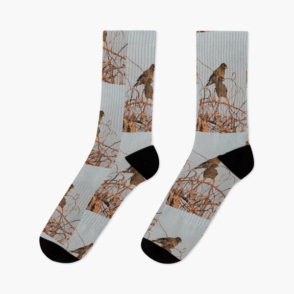 Item preview, "Double Trouble on a Branch" designed and sold by ViktoriaLens.