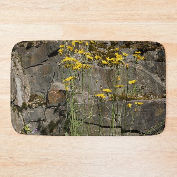 Item preview, Hawkweed on the rockside designed and sold by Jouko Lehto Photography.
