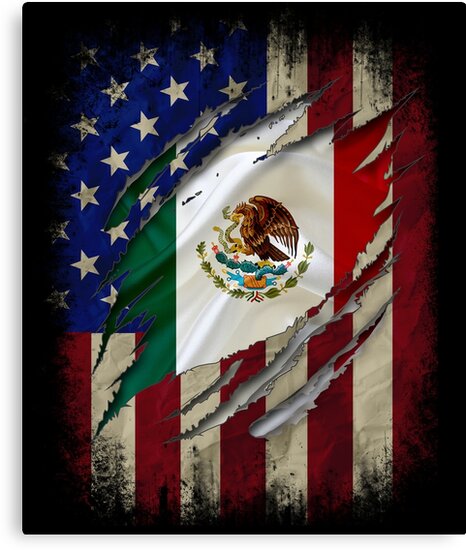 Mexican Flag And American Flag