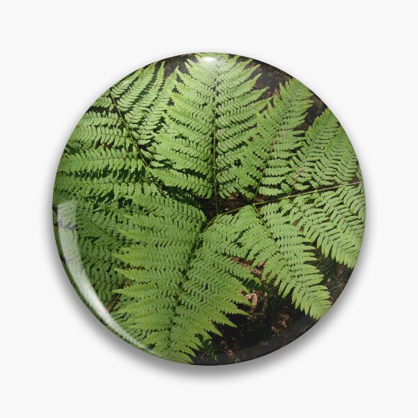 Item preview, Geometry. Bracken fern designed and sold by Jouko Lehto Photography.