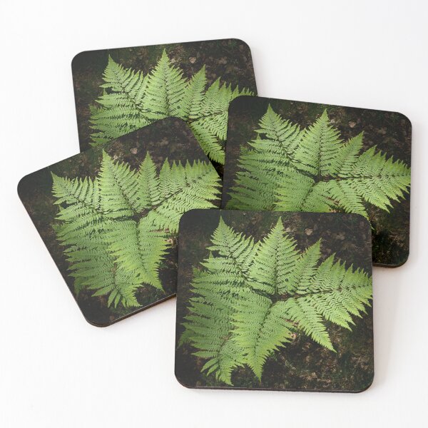 Item preview, Geometry. Bracken fern designed and sold by Jouko Lehto Photography.