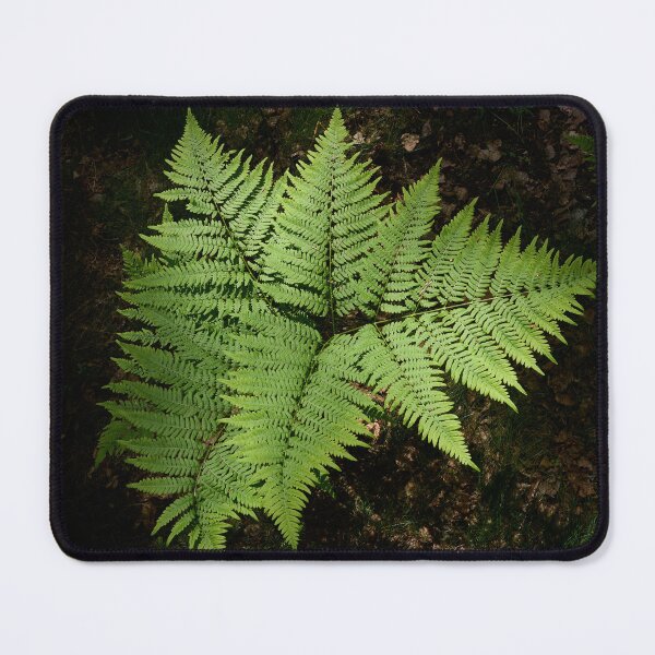 Item preview, Geometry. Bracken fern designed and sold by Jouko Lehto Photography.