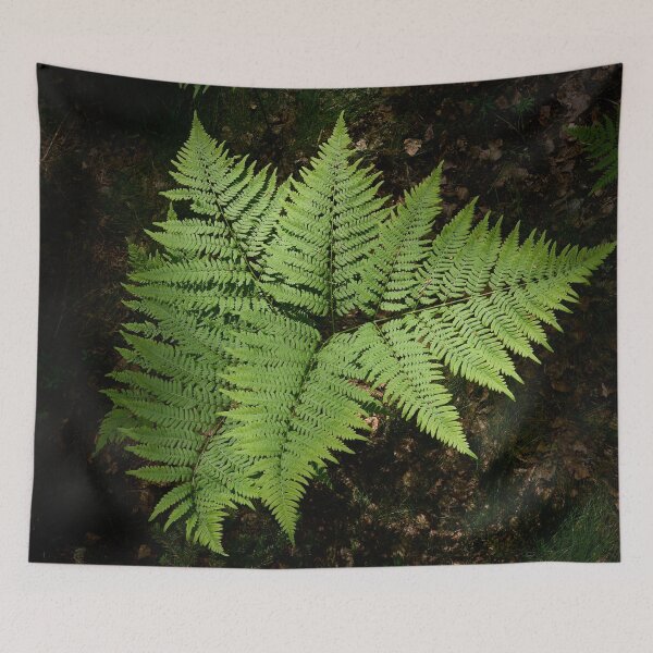 Item preview, Geometry. Bracken fern designed and sold by Jouko Lehto Photography.