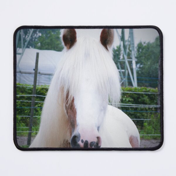 Item preview, Shanti, irish cob designed and sold by TDanimals.