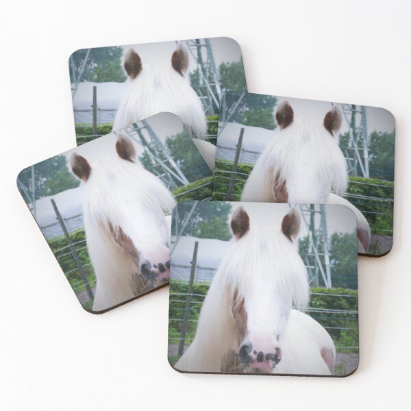 Item preview, Shanti, irish cob designed and sold by TDanimals.