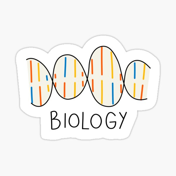 Item preview, Biology DNA Strand Hand Drawn Science Student Sticker designed and sold by FestivityFinds.