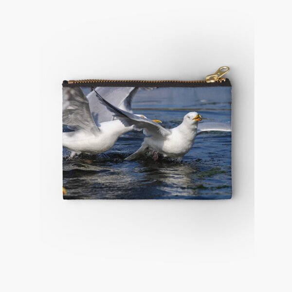 Item preview, Squabbling gulls designed and sold by GreyFeatherPhot.