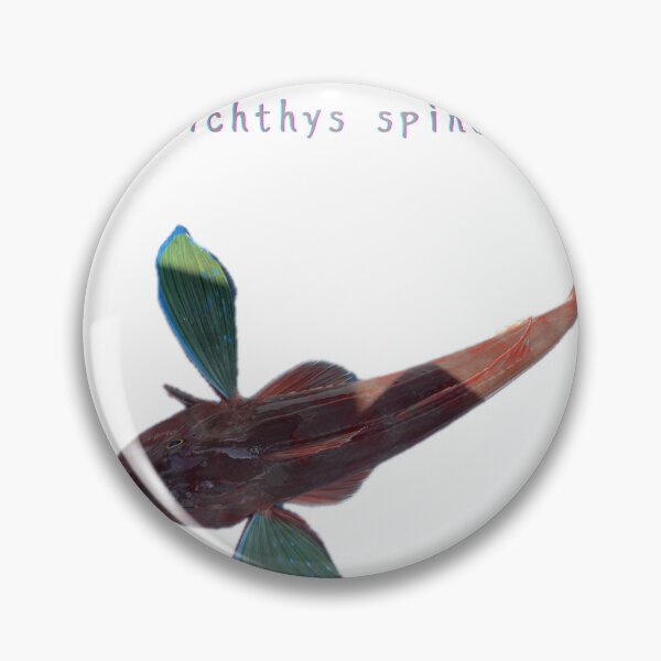 Item preview, No.024 – Sea Robin – The Winged Wanderer of the Seafloor designed and sold by taichi69nz.