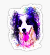 gxp border collie shepherd dog splatter watercolor Sticker