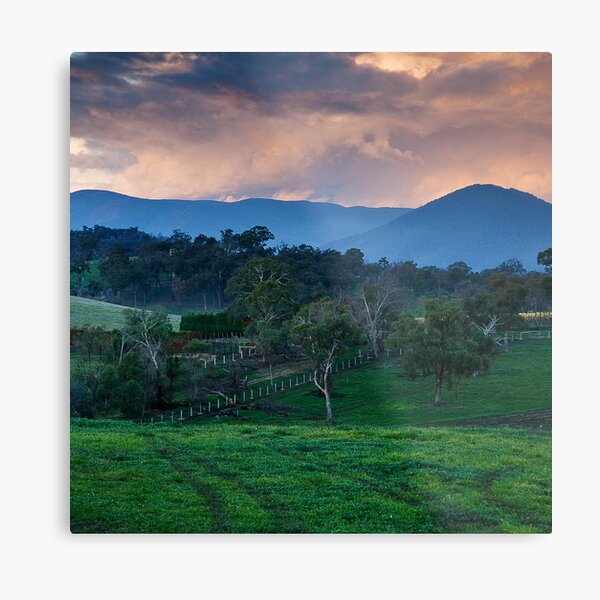 Long Gully Metal Print